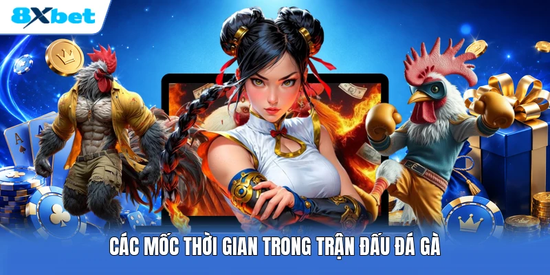 Các mốc thời gian trong trận đấu đá gà