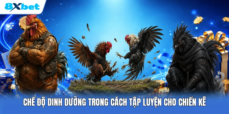 Chế độ dinh dưỡng trong cách tập luyện cho chiến kê
