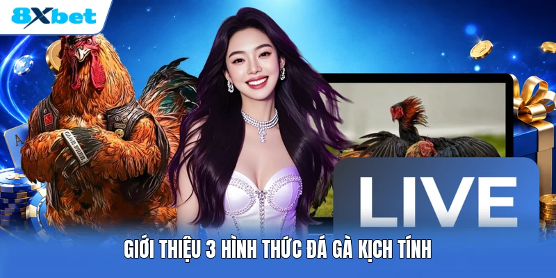 Giới thiệu 3 hình thức đá gà kịch tính