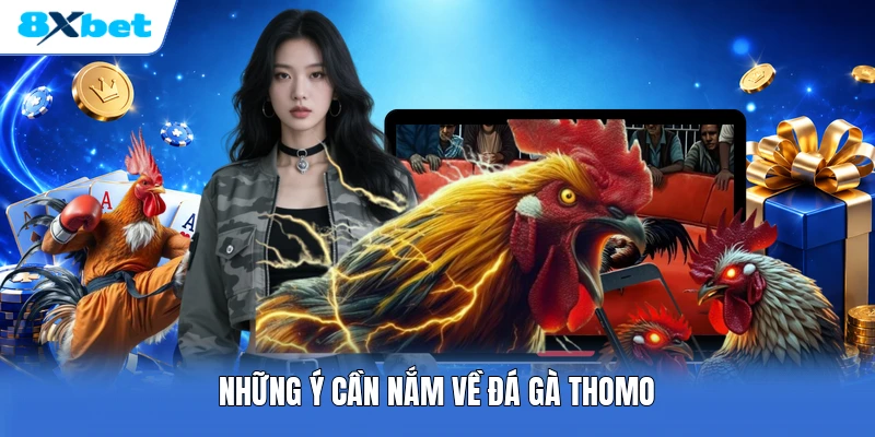 Những ý cần nắm về đá gà Thomo