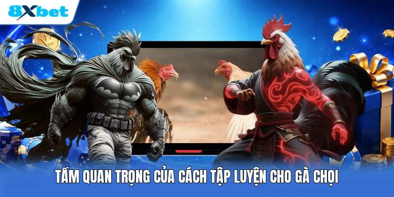 Tầm quan trọng của cách tập luyện cho gà chọi